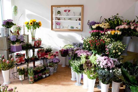 Как открыть свой цветочный магазин?